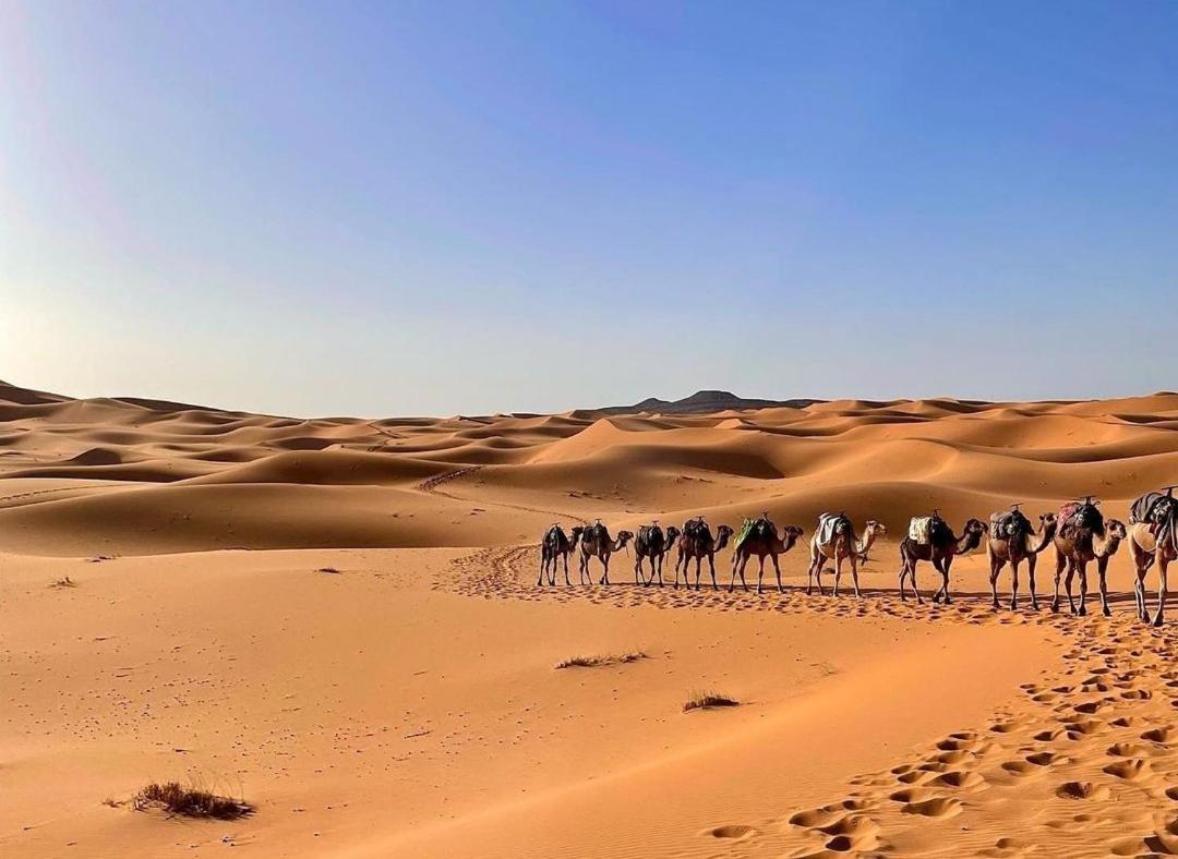 Chegaga Desert Trips Camp M'Hamid Exterior photo